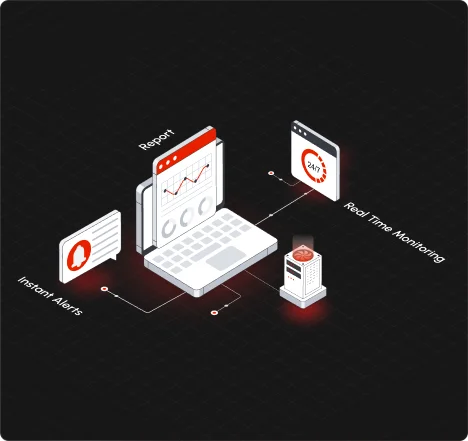 Real-Time Monitoring & Alerts